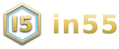 in55 logo
